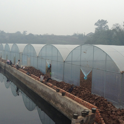 Wind Resistant Agriculture Plants Growing Hydroponic System Poly Film Multi Span Greenhouse