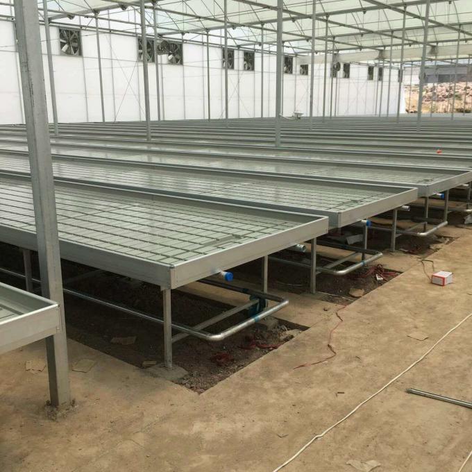 Commercial Greenhouse Rolling Benches / Seedbed Wire Greenhouse Bench